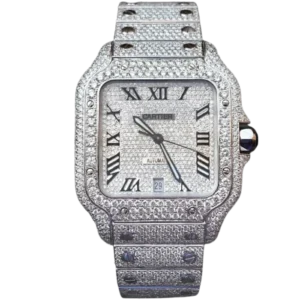 WSSA0018 Steel Santos Bussdown (Dial Too) Roman Numerals